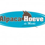 Alpaca-Hoeve-de-Marke